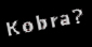 kobra.jpg